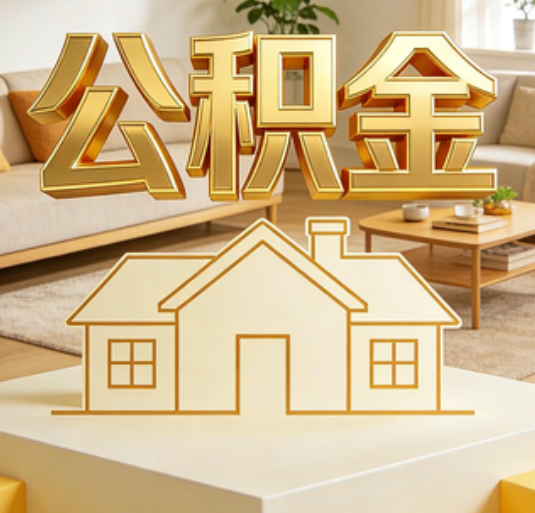 克孜勒苏柯尔克孜资金如何“活”起来，服务如何“智”起来？
